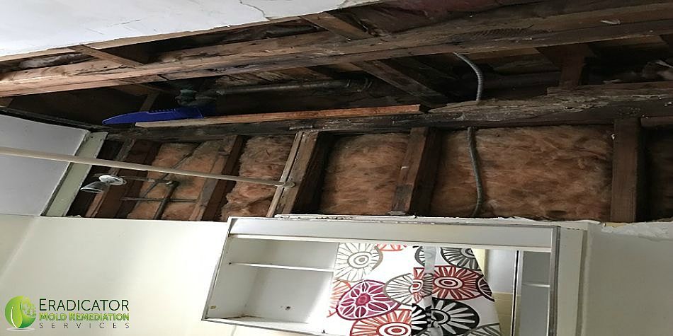 Mold In Bathroom Landlord Responsibility landlords, rent, and mold - nj mold removal, mold inspection nj Mold In Bathroom Landlord Responsibility landlords, rent, and mold - nj mold removal, mold inspection nj