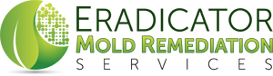 NJ Mold Removal, Mold Inspection NJ, and Mold Testing NJ