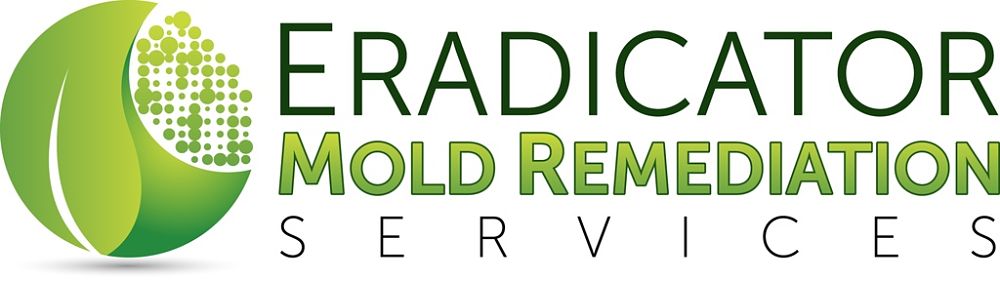 Mold Remediation Company