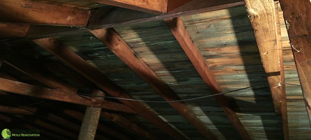 mold growth on attic sheathing