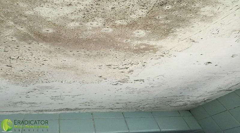 mold on bathroom ceiling