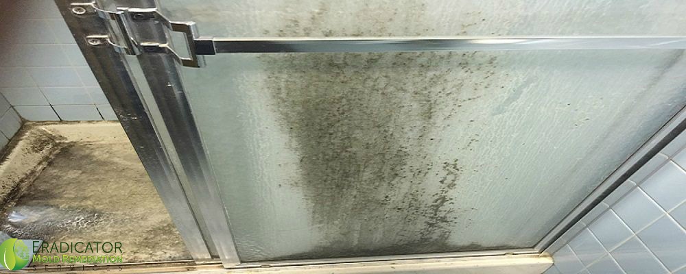 Moldy bathroom glass shower