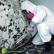 Mold Services