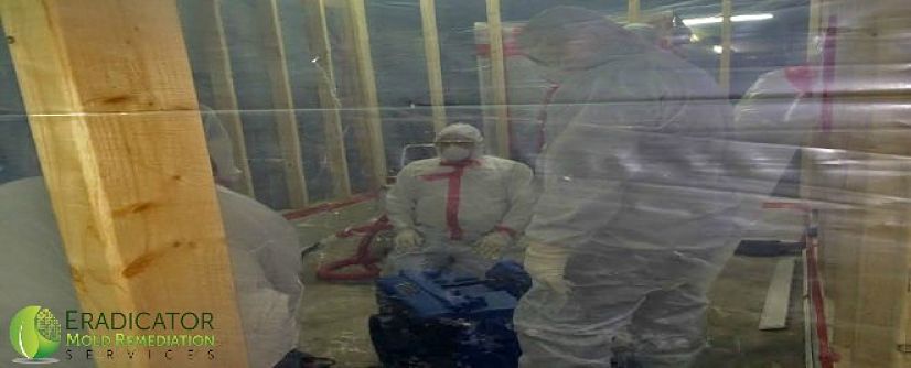 Eradicator Mold Remediation Team completing mold remediation on a commercial property
