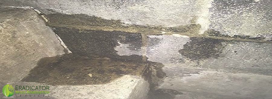 water intrusion in basement cinderblock may cause mold to develop