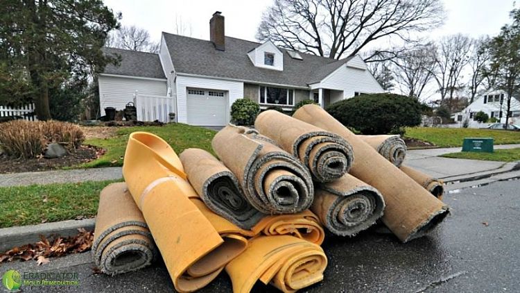 discarded carpets and padding
