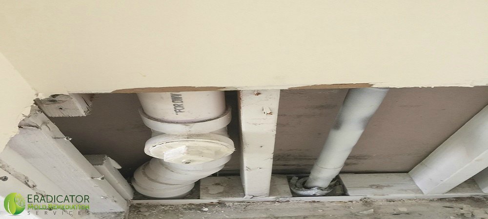 leaking pvc drainpipe was source of mold growth