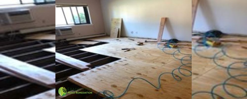 Removal of mold affected flooring