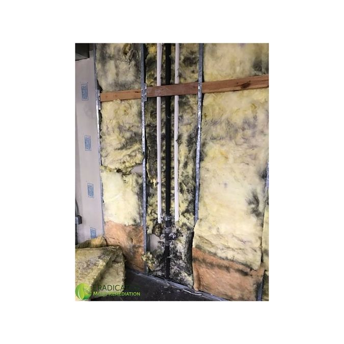 Affected insulation caused by mold activity
