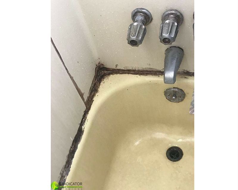 mold in bathtub