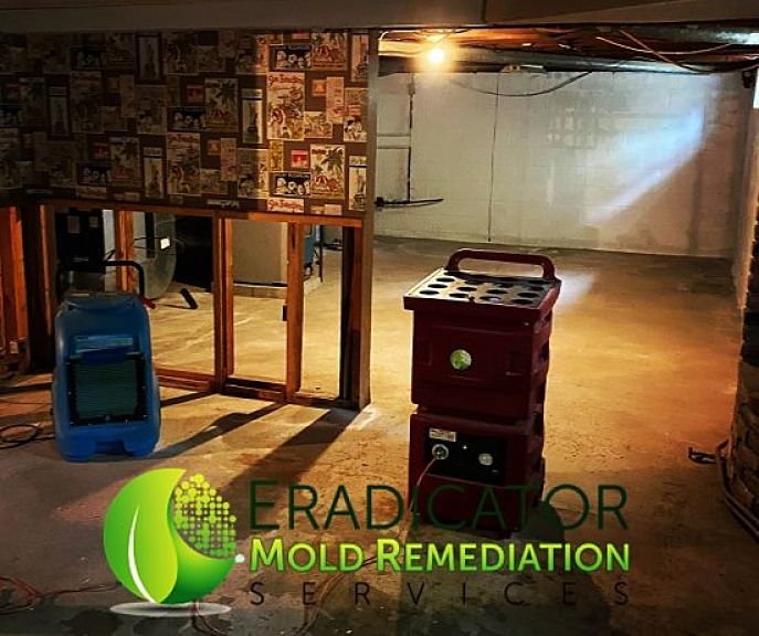 equipment used during mold remediation