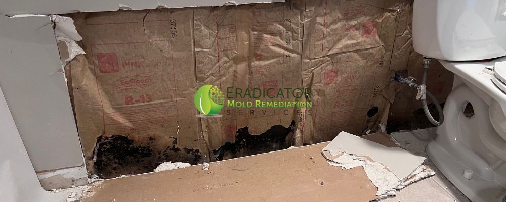 affected drywall removed and affected insulation exposed