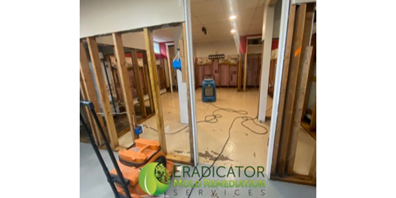 Mold equipment drying flooded area