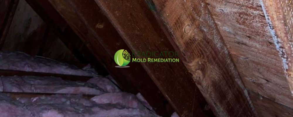 Mold growth on attic sheating due to fan no longer working