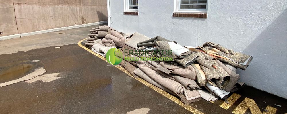 Carpet removal Hurricane Ida