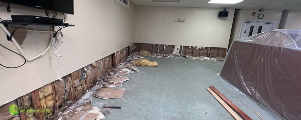 Commercial Mold Remediation