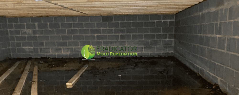 water removal crawlspace
