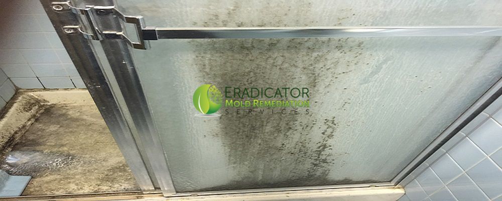 Eradicator-Mold-Bathroom