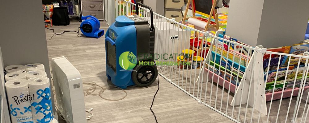 dehumidifier used to remove excess moisture and humidity from within property