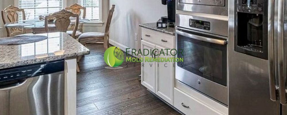 Kitchen mold remediation within home