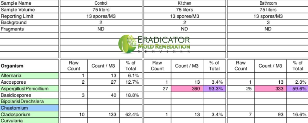 Copy of mold air quality test results displaying the different types of mold spores found and the levels of such