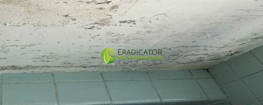 Mold Bathroom Ceiling