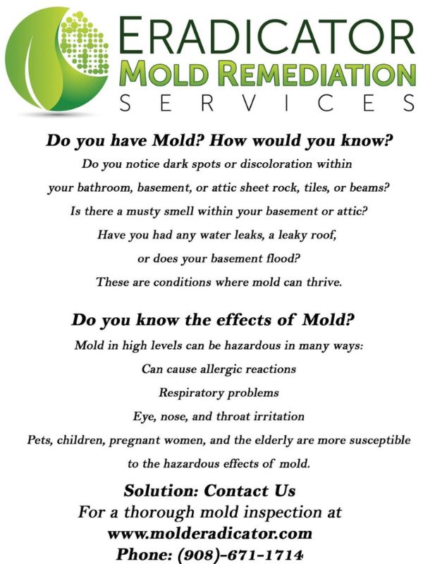 Mold Flyer