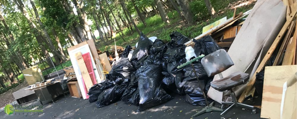 Mold Garbage Cleanout