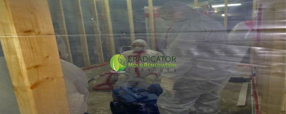 Eradicator Mold Remediation Team