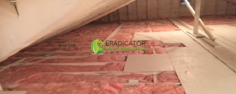 Insulation replaced in attic