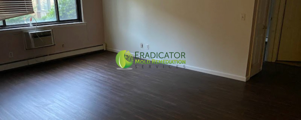 Replace-affected-flooring-after-mold-remedaition