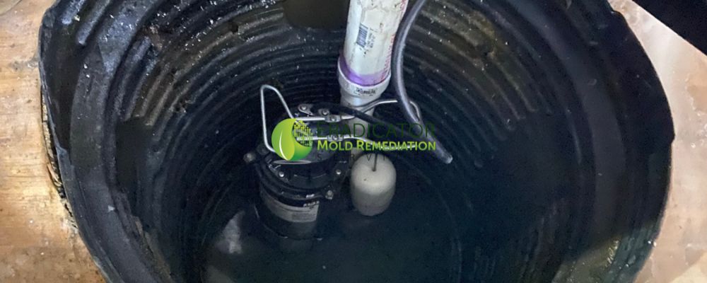 sump pump removal and replacement