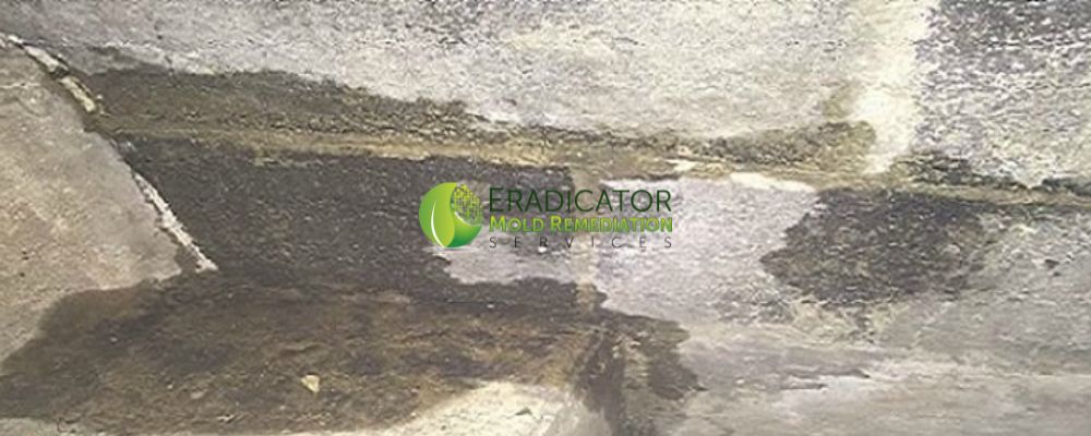 Water intrusion in basement cinderblock may cause mold to develop