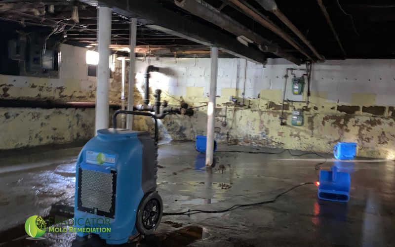 drying of flooded basement