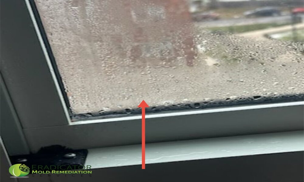 Window Condensation