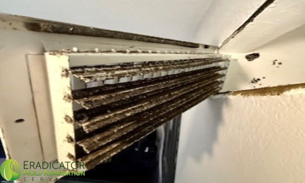 Vent Cover with mold